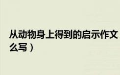 从动物身上得到的启示作文（从动物身上得到的启示作文怎么写）