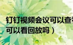 钉钉视频会议可以查看回放吗（钉钉视频会议可以看回放吗）