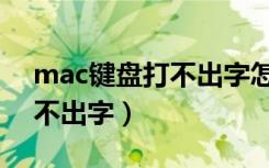 mac键盘打不出字怎么办（苹果mac键盘打不出字）