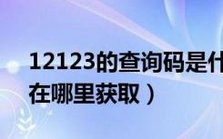 12123的查询码是什么意思（12123查询码在哪里获取）