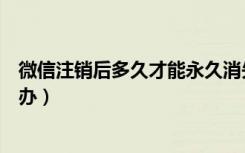 微信注销后多久才能永久消失（微信无缘无故被注销了怎么办）