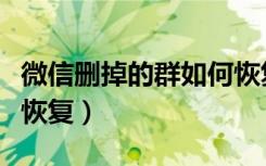 微信删掉的群如何恢复（微信群消息删了怎么恢复）