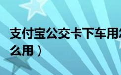 支付宝公交卡下车用怎么用（支付宝公交卡怎么用）