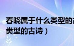 春晓属于什么类型的古诗（《春晓》属于什么类型的古诗）