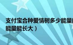 支付宝合种爱情树多少能量能长大（支付宝合种爱情树多少能量能长大）