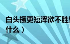 白头搔更短浑欲不胜簪（白头搔更短下一句是什么）