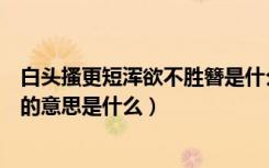 白头搔更短浑欲不胜簪是什么意思（白头搔更短浑欲不胜簪的意思是什么）