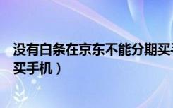 没有白条在京东不能分期买手机吗（没有京东白条怎么分期买手机）