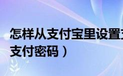 怎样从支付宝里设置支付密码（付宝怎样设置支付密码）