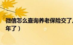 微信怎么查询养老保险交了几年（怎么查询养老保险交了几年了）