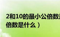 2和10的最小公倍数是什么（4和10的最小公倍数是什么）