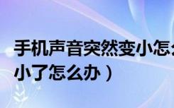 手机声音突然变小怎么解决（手机突然声音变小了怎么办）