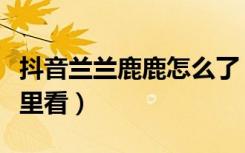 抖音兰兰鹿鹿怎么了（抖音兰兰鹿鹿视频在哪里看）