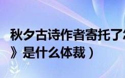 秋夕古诗作者寄托了怎样的情感（古诗《秋夕》是什么体裁）