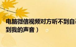 电脑微信视频对方听不到自己声音（电脑微信视频对方听不到我的声音）