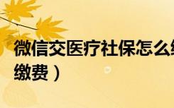 微信交医疗社保怎么缴费（微信上怎么交社保缴费）