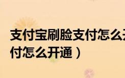 支付宝刷脸支付怎么开通视频（支付宝刷脸支付怎么开通）