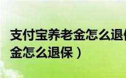 支付宝养老金怎么退保扣多少钱（支付宝养老金怎么退保）