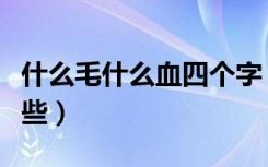 什么毛什么血四个字（什么毛什么血词语有哪些）