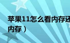 苹果11怎么看内存还剩多少（苹果11怎么看内存）