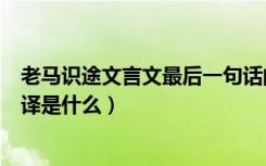 老马识途文言文最后一句话的翻译（《老马识途》文言文翻译是什么）