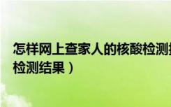 怎样网上查家人的核酸检测报告（手机上怎么查家人的核酸检测结果）