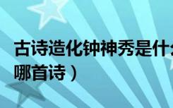 古诗造化钟神秀是什么意思啊（造化钟神秀是哪首诗）