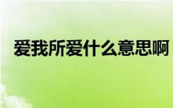 爱我所爱什么意思啊（爱我所爱什么意思）