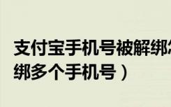 支付宝手机号被解绑怎么登录（支付宝怎么解绑多个手机号）