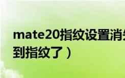 mate20指纹设置消失（mate20设置里找不到指纹了）