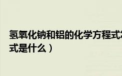 氢氧化钠和铝的化学方程式怎么写（铝与氢氧化钠反应方程式是什么）