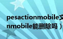 pesactionmobile文件能删除吗（pesactionmobile能删除吗）