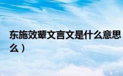 东施效颦文言文是什么意思（《东施效颦》文言文翻译是什么）