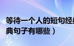 等待一个人的短句经典语录（等待一个人的经典句子有哪些）