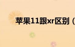 苹果11跟xr区别（苹果11三款区别）