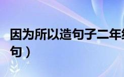 因为所以造句子二年级简单（不知所以怎么造句）