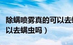 除螨喷雾真的可以去螨虫吗（除螨喷雾真的可以去螨虫吗）