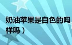 奶油苹果是白色的吗（奶油苹果跟普通苹果一样吗）