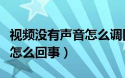 视频没有声音怎么调回来（接视频没有声音是怎么回事）