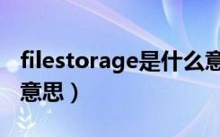 filestorage是什么意思（filestorage是什么意思）