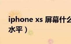 iphone xs 屏幕什么水准（苹果xs屏幕什么水平）