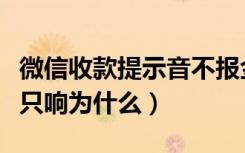 微信收款提示音不报金额（微信收款不报金额只响为什么）