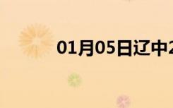 01月05日辽中24小时天气预报