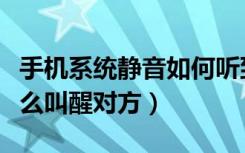 手机系统静音如何听到他人消息（手机静音怎么叫醒对方）