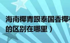 海南椰青跟泰国香椰有什么区别（椰青和椰子的区别在哪里）