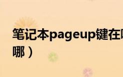 笔记本pageup键在哪（笔记本pageup键在哪）