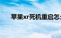 苹果xr死机重启怎么弄（苹果xr死机）