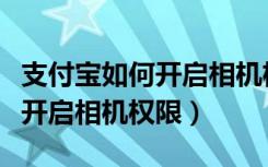 支付宝如何开启相机权限设置（支付宝在哪里开启相机权限）