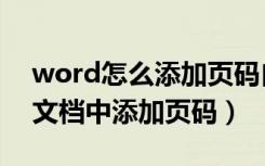 word怎么添加页码自动排序（如何在word文档中添加页码）