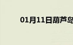 01月11日葫芦岛24小时天气预报